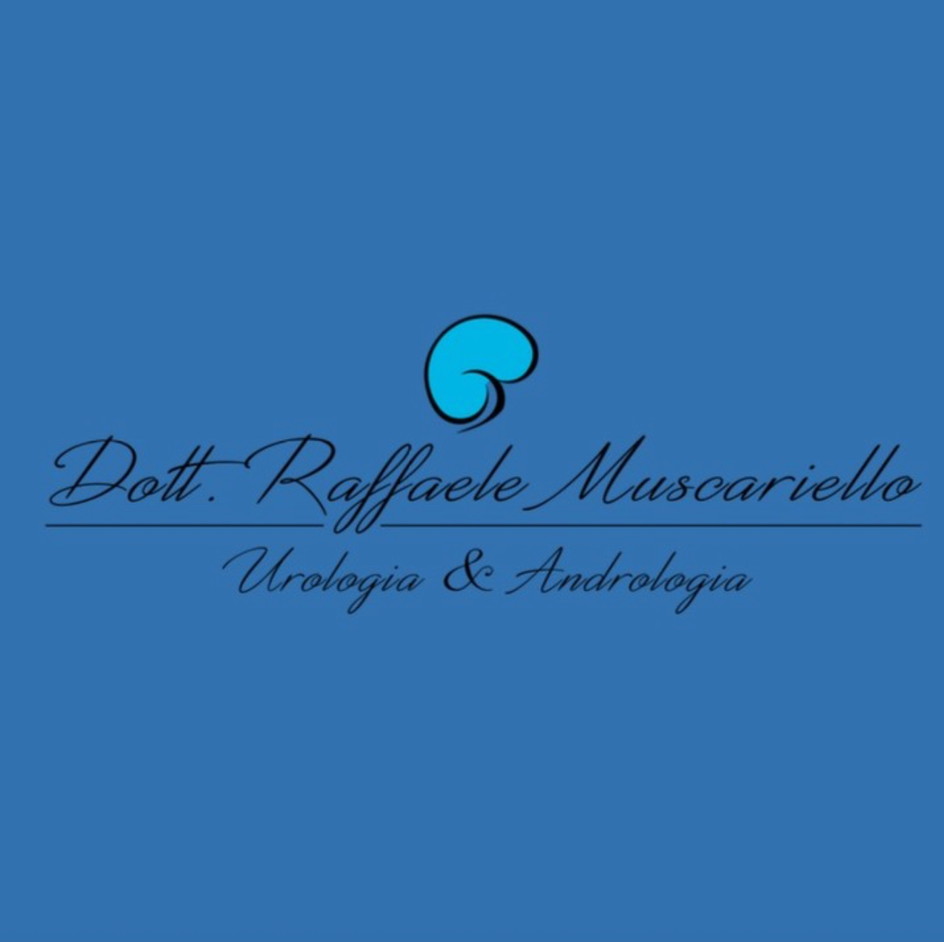 Portfolio Dott. Raffaele Muscariello